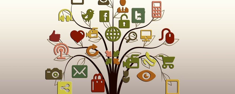 Social Media Manager at FD Capital Recruitment 1 tree gf637552fd 1280